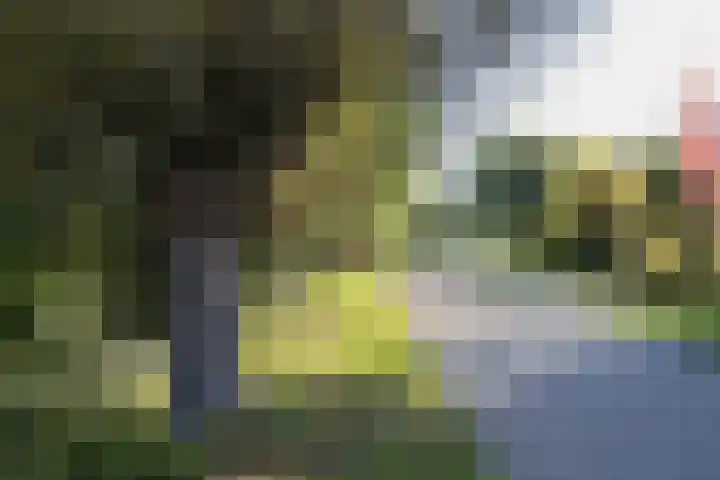 Westraklaan 10 Utrecht thumbnail 46