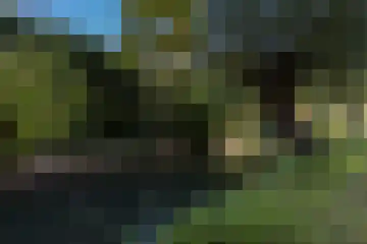 Westraklaan 10 Utrecht thumbnail 47