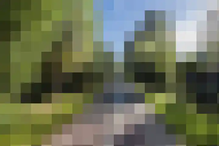 Westraklaan 10 Utrecht thumbnail 48