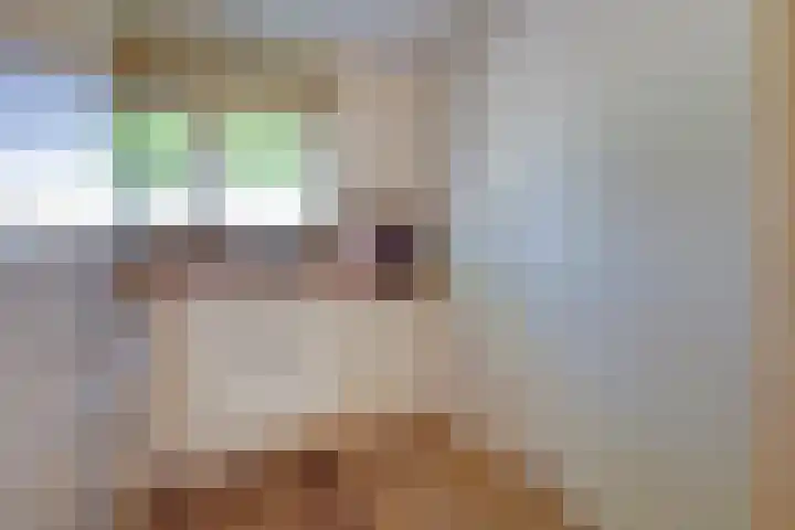 Westraklaan 13 Utrecht thumbnail 11