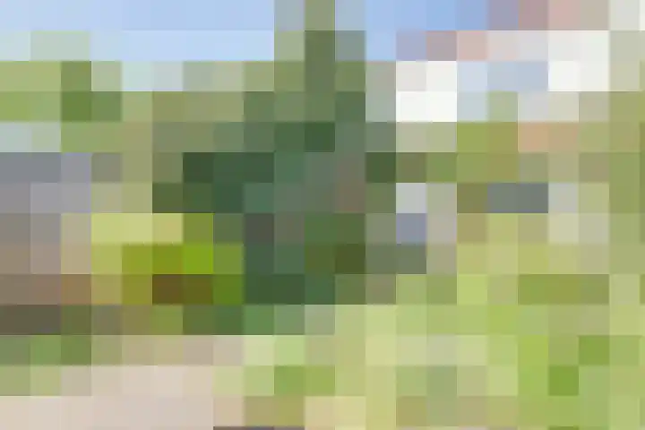 Westraklaan 13 Utrecht thumbnail 32