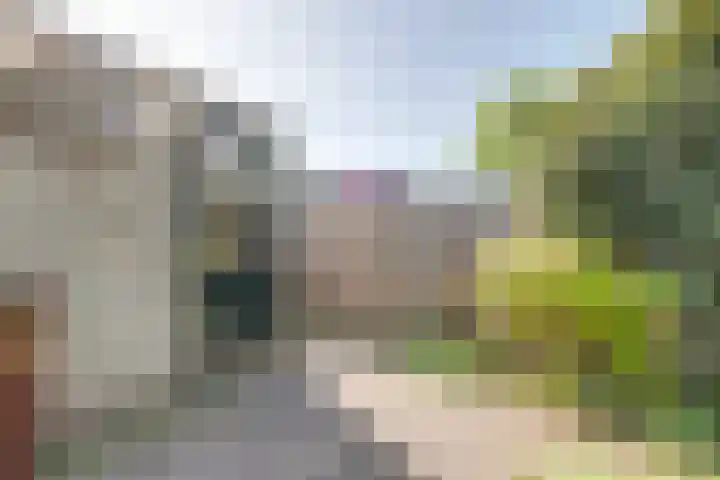 Westraklaan 13 Utrecht thumbnail 33