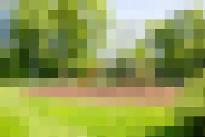 Westraklaan 13 Utrecht thumbnail 37