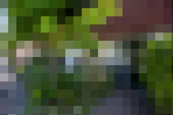 Westraklaan 13 Utrecht thumbnail 5