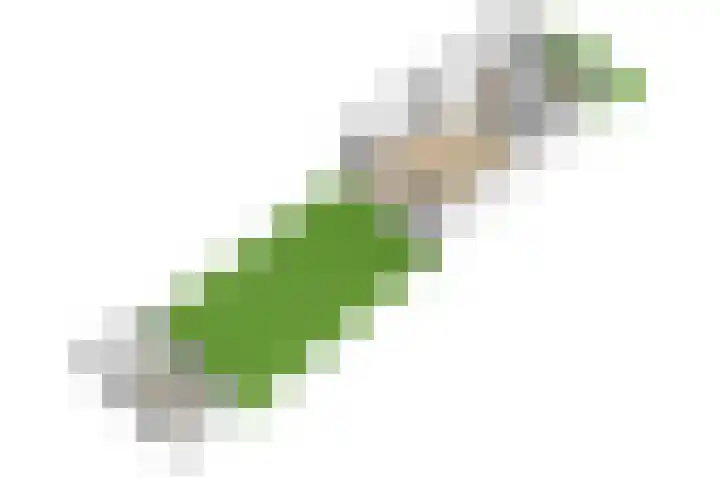 Westraklaan 13 Utrecht thumbnail 51