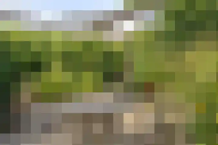 Westrand 15 Maastricht thumbnail 26