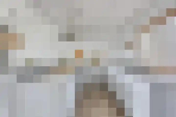Westrand 15 Maastricht thumbnail 5