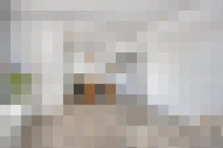 Westrand 15 Maastricht thumbnail 8