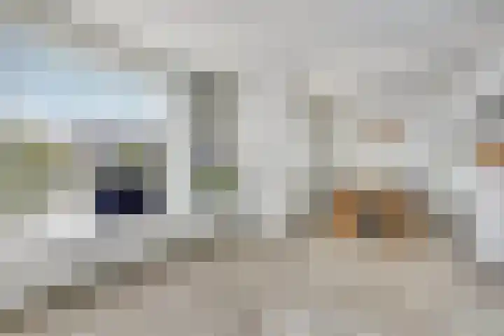 Westrand 15 Maastricht thumbnail 9