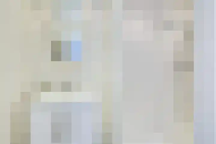 Westravenstraat 15 Utrecht thumbnail 4