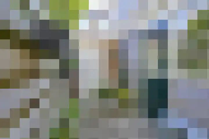Westravenstraat 15 Utrecht thumbnail 5