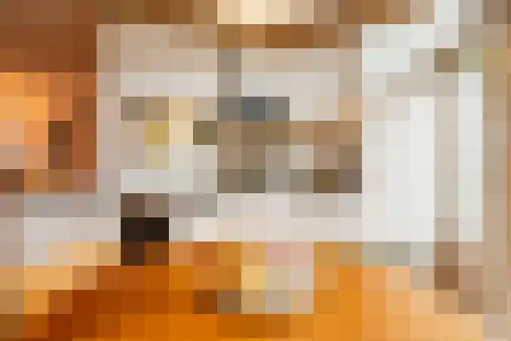 Westravenstraat 20 Utrecht thumbnail 4