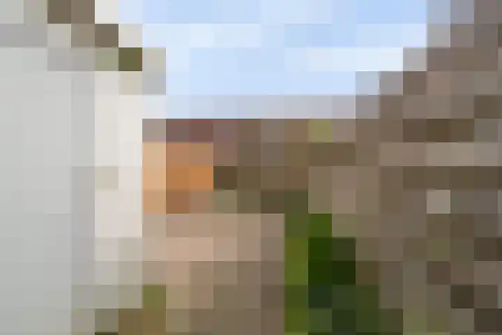 Westravenstraat 24 Utrecht thumbnail 18