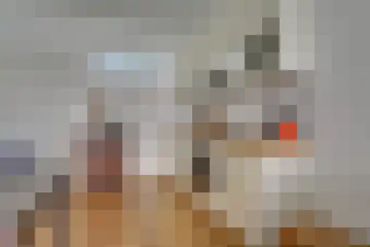 Westravenstraat 5 Utrecht thumbnail 5