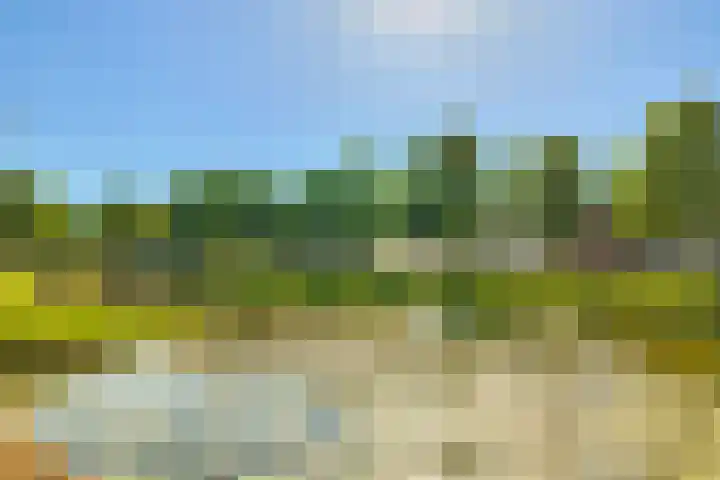 Westravenstraat 5 Utrecht thumbnail 6