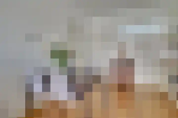 Westravenstraat 5 Utrecht thumbnail 9
