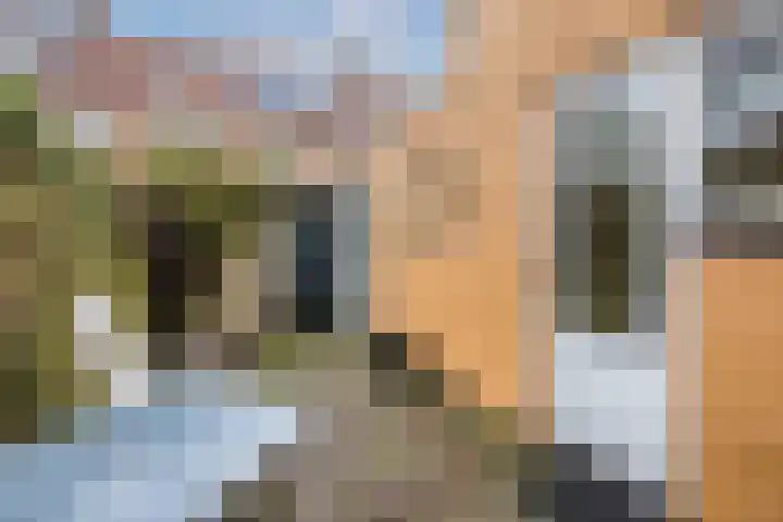 Westravenstraat 51 Utrecht thumbnail 12
