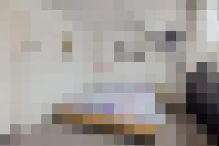 Westravenstraat 51 Utrecht thumbnail 32