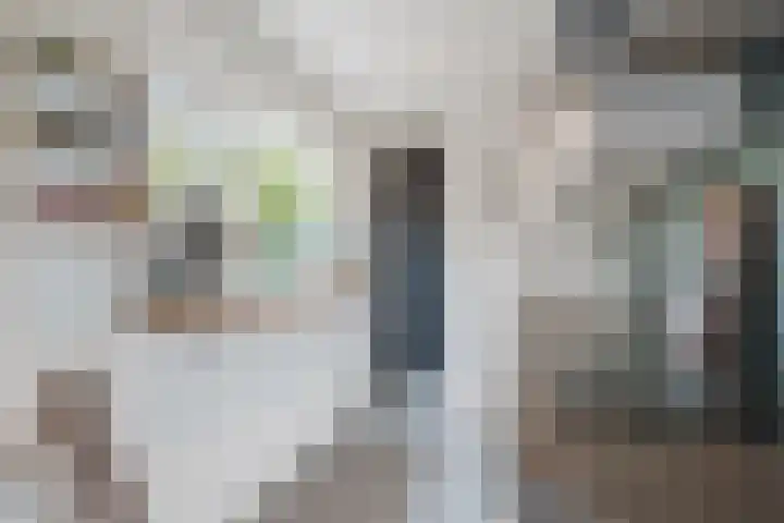 Westravenstraat 6 Utrecht thumbnail 10