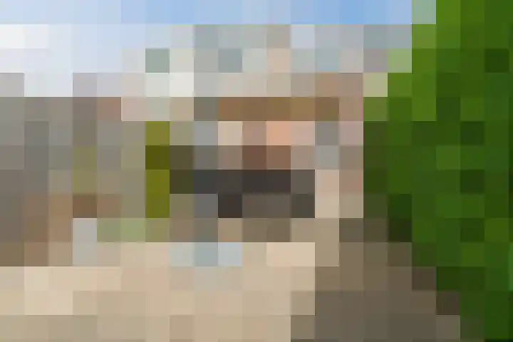 Westravenstraat 6 Utrecht thumbnail 4