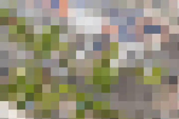 Westravenstraat 6 Utrecht thumbnail 43