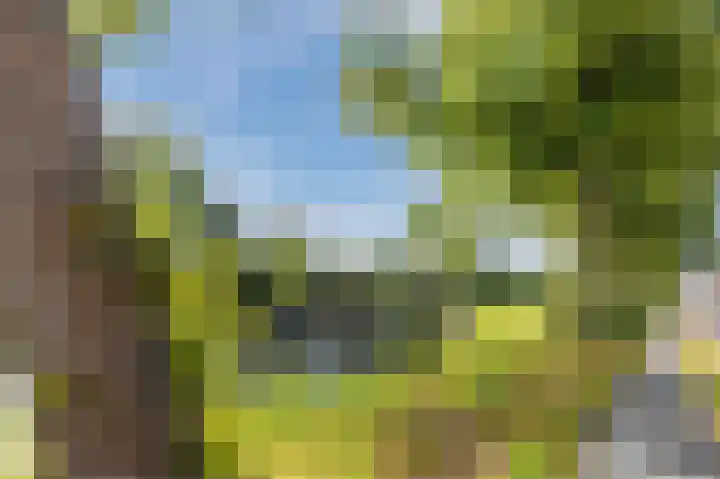 Westravenstraat 7 Utrecht thumbnail 32