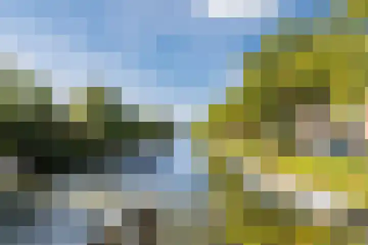 Westravenstraat 7 Utrecht thumbnail 36