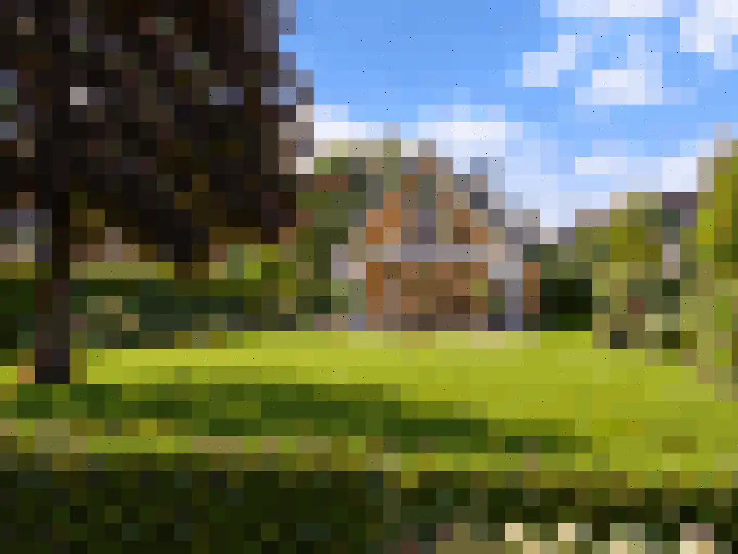 Westrik Prinsenbeek thumbnail 8