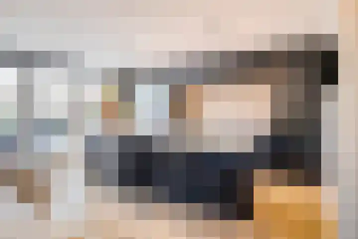 Westrikse Binnenweg 48 Prinsenbeek thumbnail 11