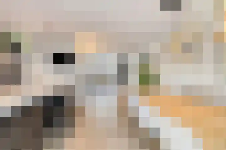 Westrikse Binnenweg 48 Prinsenbeek thumbnail 12