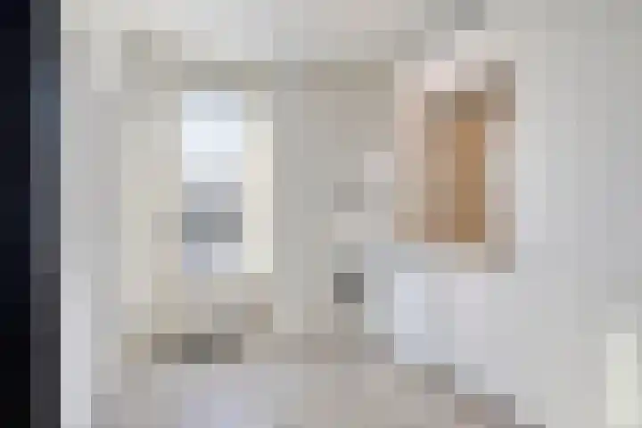 Westrikse Binnenweg 48 Prinsenbeek thumbnail 16