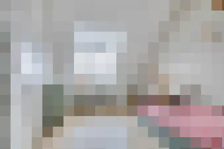 Westrikse Binnenweg 48 Prinsenbeek thumbnail 27
