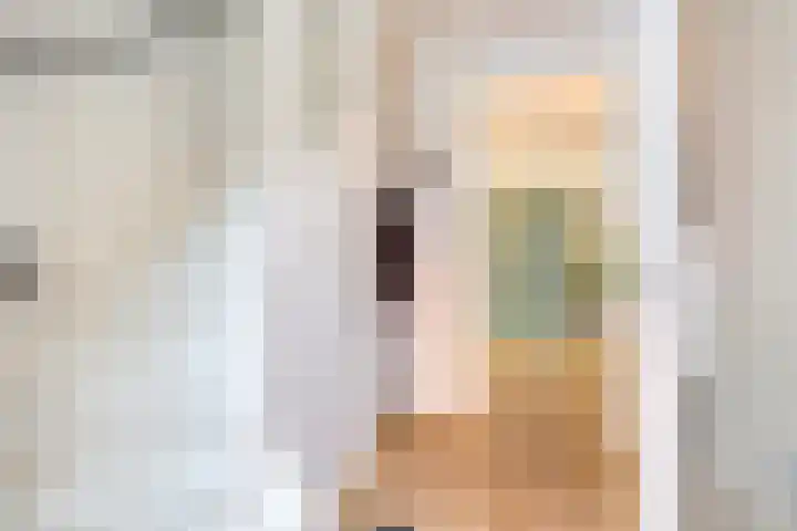 Westrikse Binnenweg 48 Prinsenbeek thumbnail 6