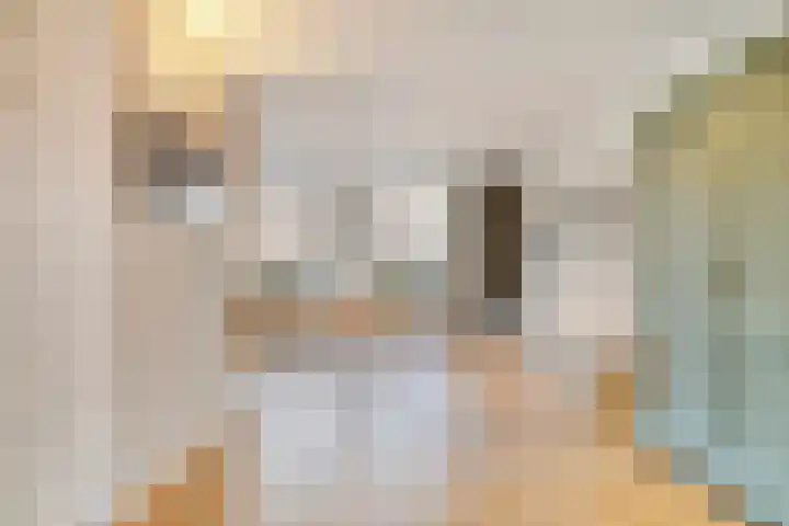Westrikse Binnenweg 48 Prinsenbeek thumbnail 7