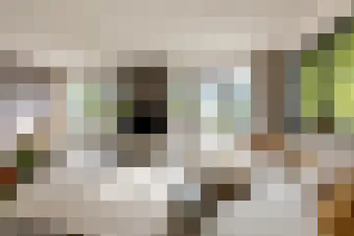 Westringdijk 50 Nieuwerkerk aan den IJssel thumbnail 11