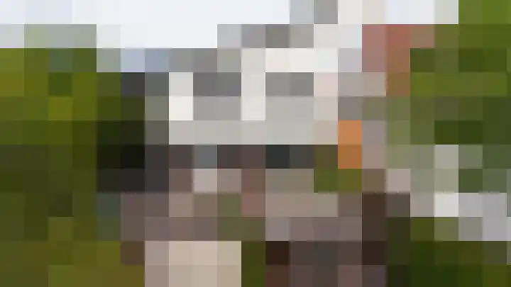 Westringdijk 50 Nieuwerkerk aan den IJssel thumbnail 15