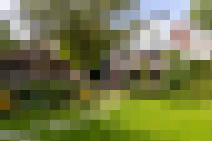 Westringdijk 50 Nieuwerkerk aan den IJssel thumbnail 35