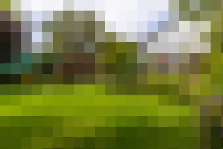 Westringdijk 50 Nieuwerkerk aan den IJssel thumbnail 36