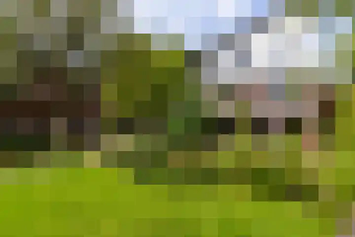 Westringdijk 50 Nieuwerkerk aan den IJssel thumbnail 37