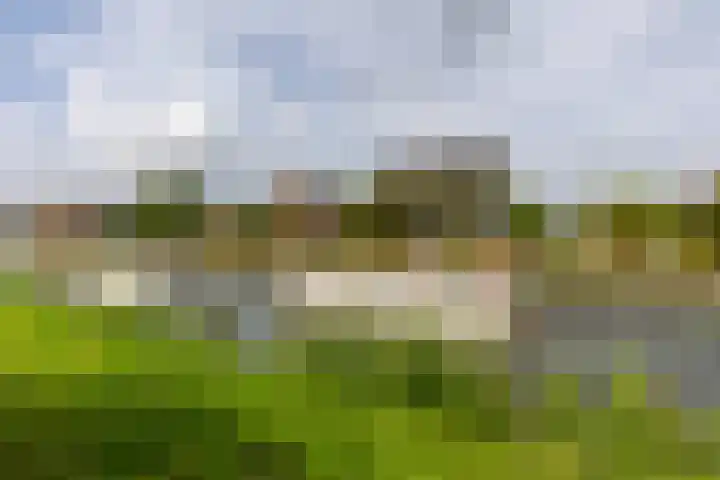Westringdijk 50 Nieuwerkerk aan den IJssel thumbnail 45