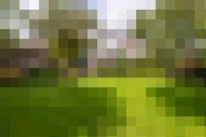 Westringdijk 50 Nieuwerkerk aan den IJssel thumbnail 5