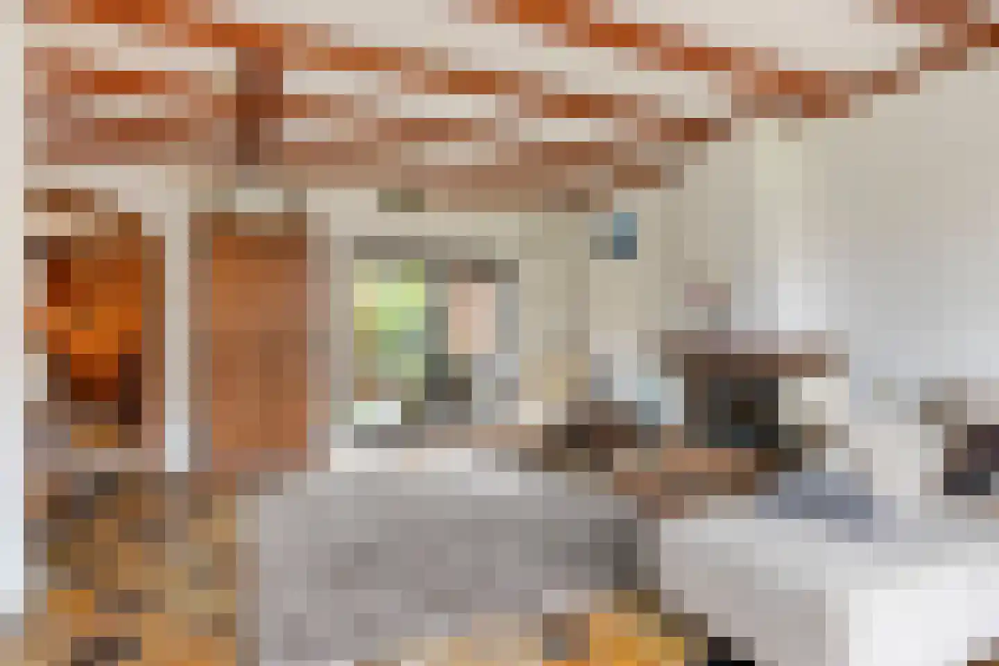 Westroijensestraat 18 Tiel thumbnail 10