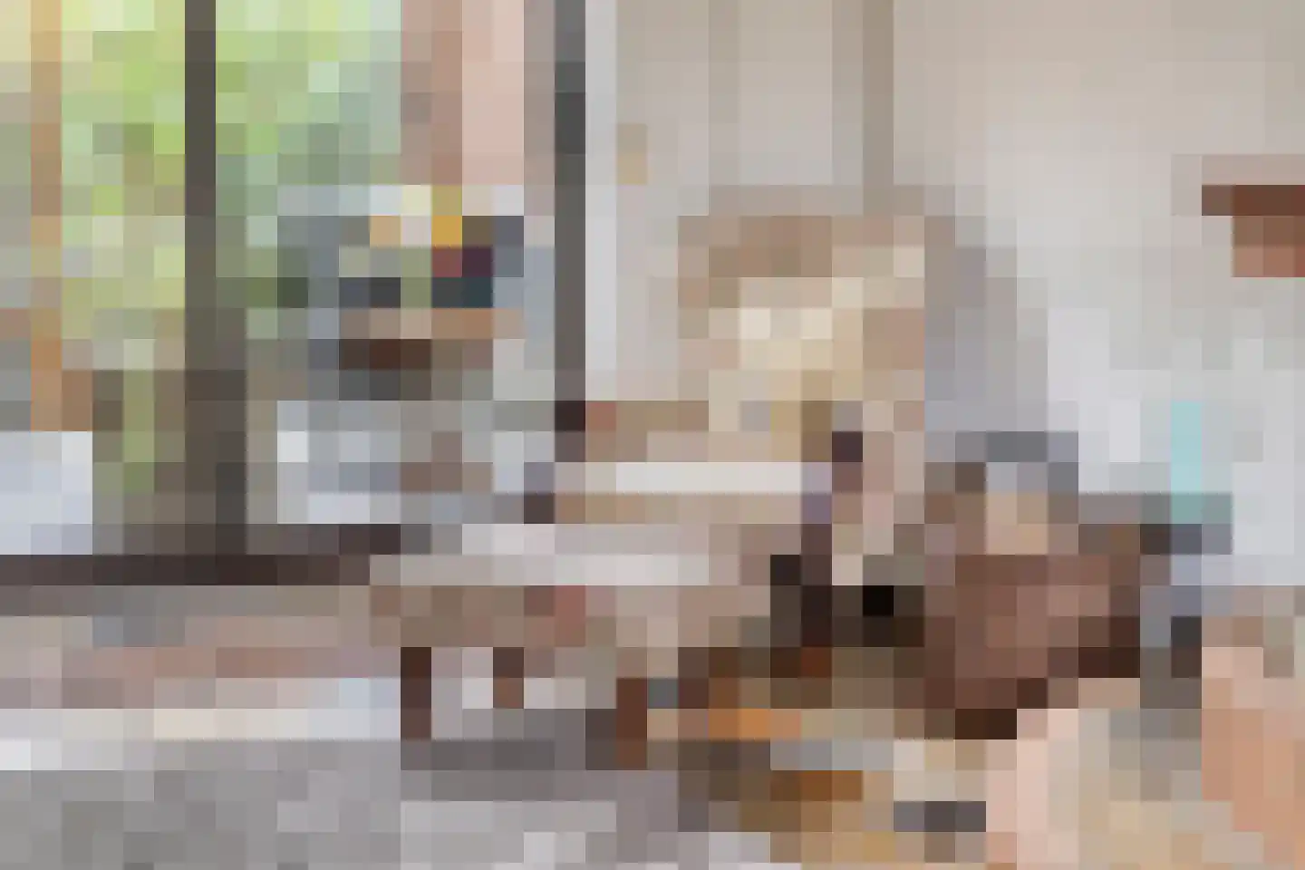 Westroijensestraat 18 Tiel thumbnail 12