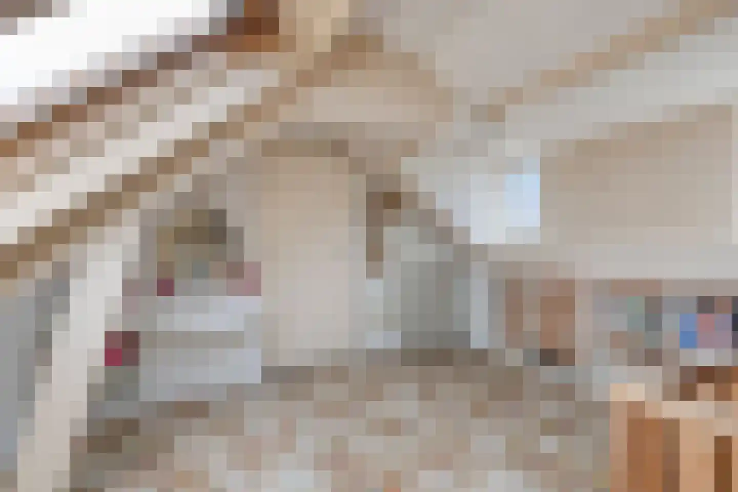 Westroijensestraat 18 Tiel thumbnail 25