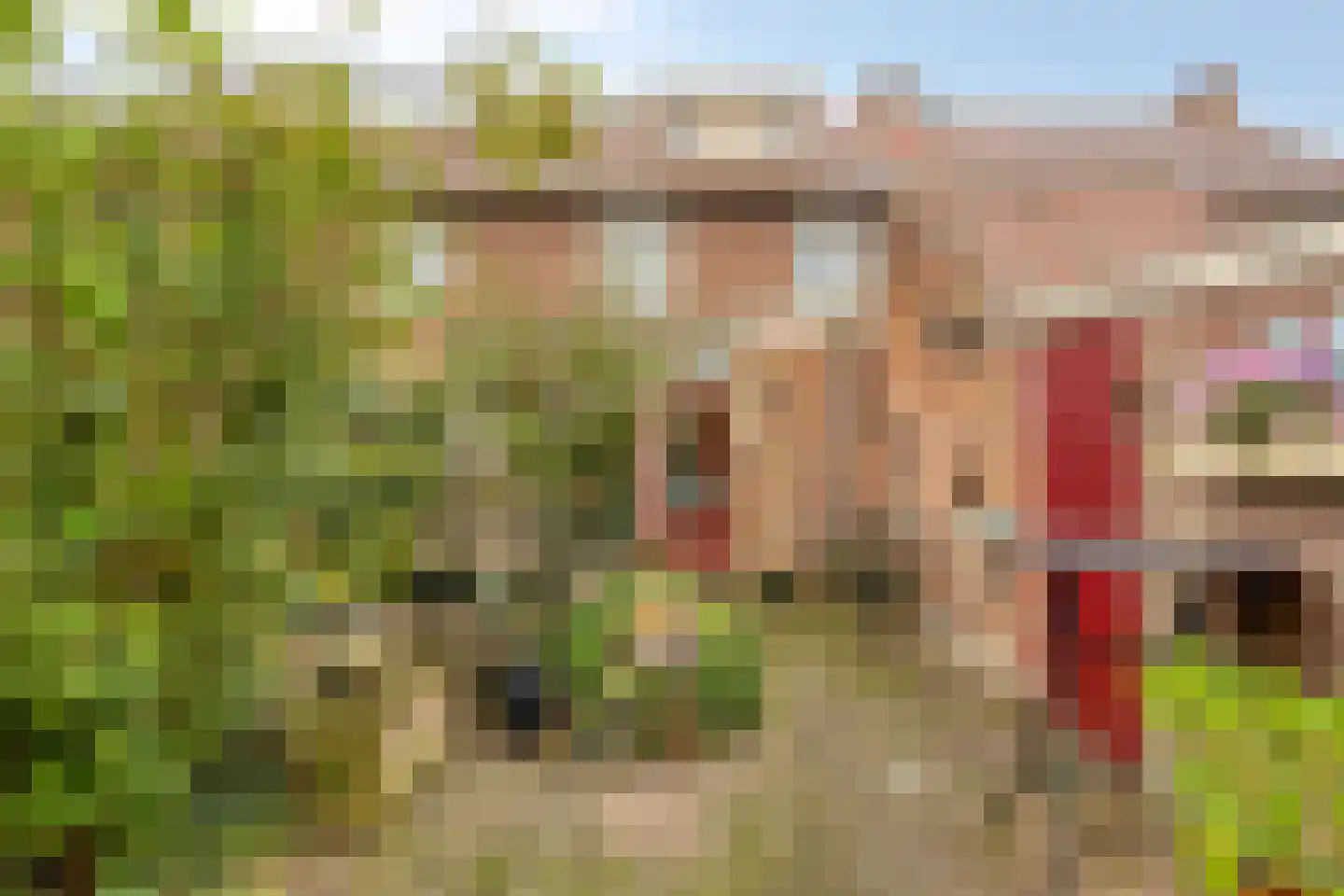 Westroijensestraat 18 Tiel thumbnail 27