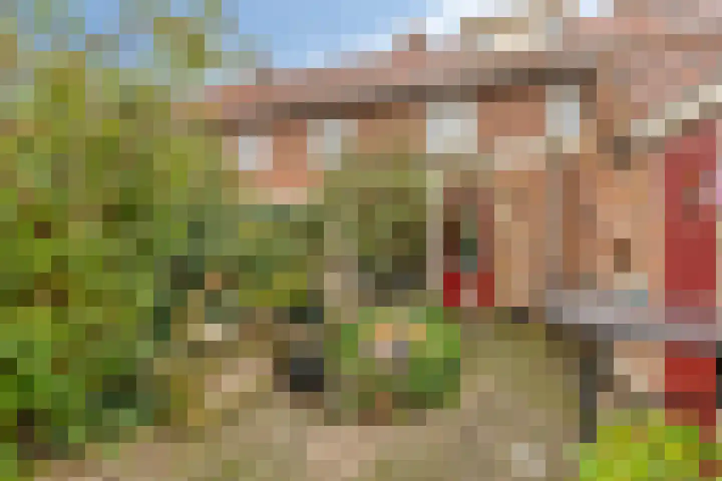 Westroijensestraat 18 Tiel thumbnail 28
