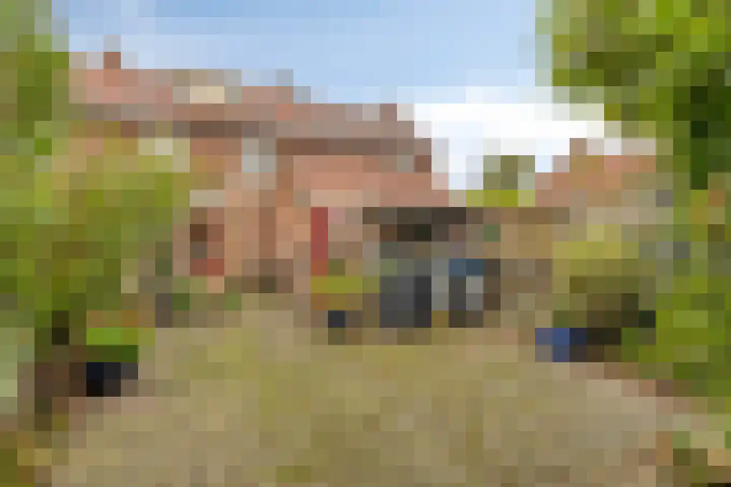 Westroijensestraat 18 Tiel thumbnail 29