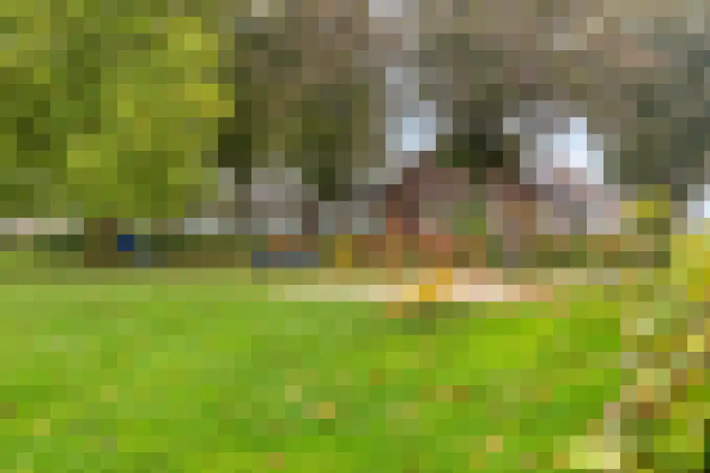 Westroijensestraat 18 Tiel thumbnail 33