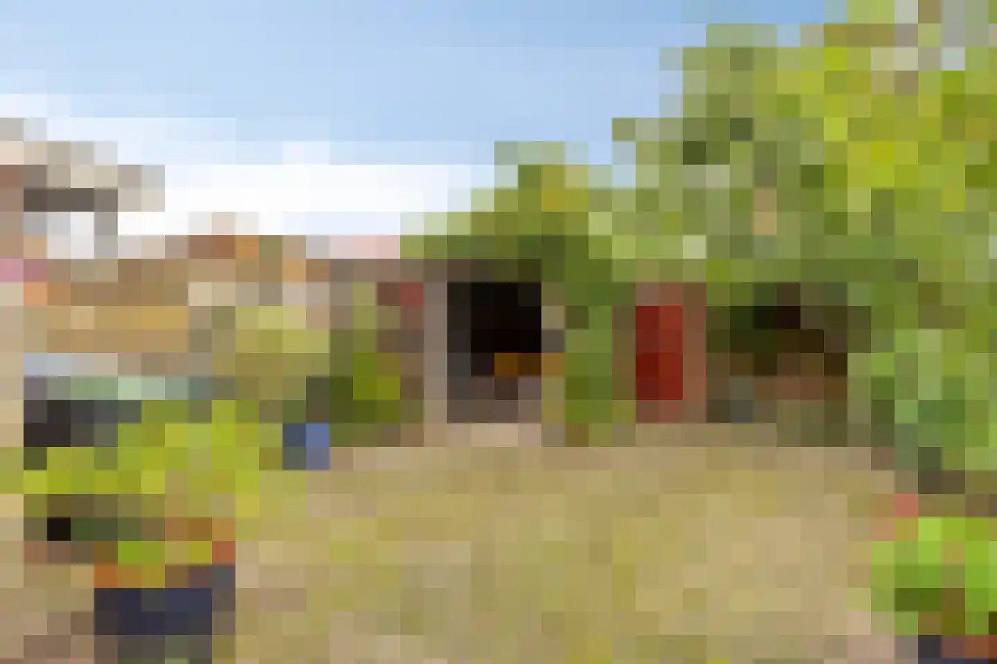 Westroijensestraat 18 Tiel thumbnail 5