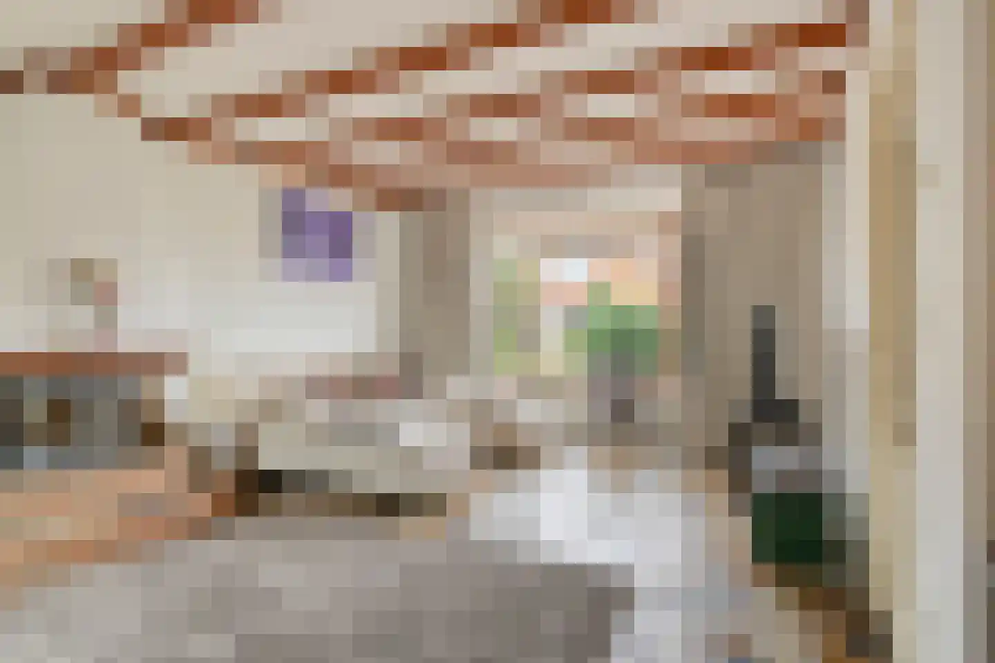 Westroijensestraat 18 Tiel thumbnail 9
